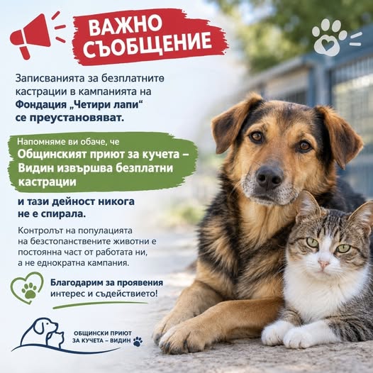 Безплатна кастрационна кампания за кучета и котки обявиха във Видин - Image